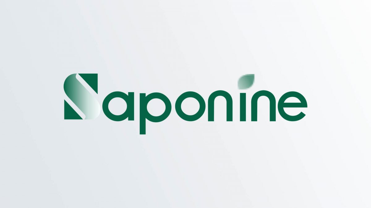 Saponin Products